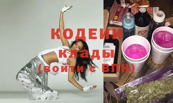 прущие грибы Кукмор