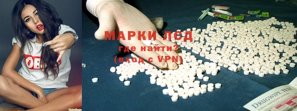 прущие грибы Кукмор