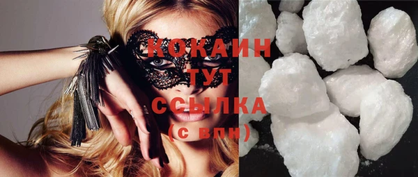 прущие грибы Кукмор