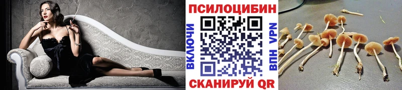 Псилоцибиновые грибы Magic Shrooms  Купить  Красково 