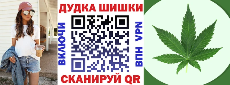 Купить где Красково Бошки Шишки сатива